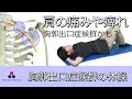 胸郭出口症候群の体操