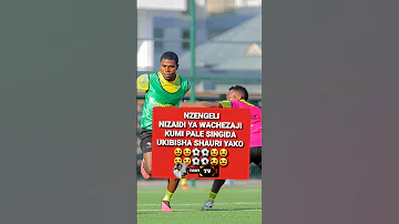 TAZAMA ICHO KIFANYA NZENGELI HAPA 