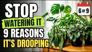 Every Reason Your Plant Is Drooping Explained