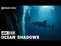 Ocean Shadows in 4K HDR | Exploring the Ocean’s Greatest Secrets