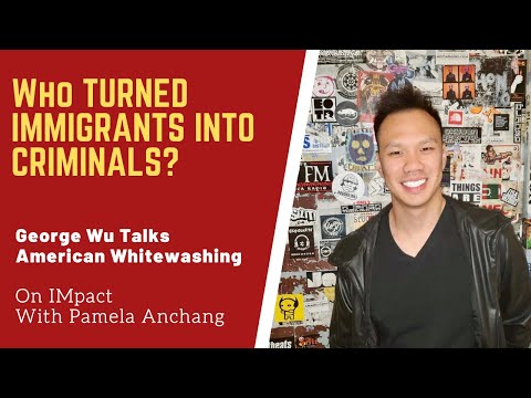 Welcome To IMpact Talks On TIM TV Voice Of Immigrants In America