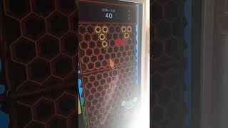 Beehive Bedlam Full Gameplay Sky Games screenshot 5