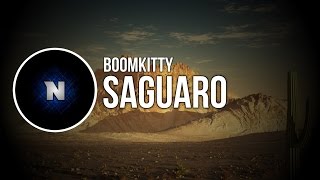 house Boomkitty  Saguaro