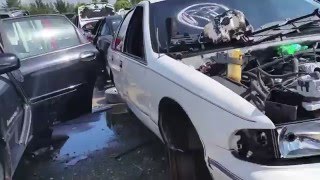 1996 Chevy Caprice sedan at LKQ (ABC) junkyard in West Palm Beach, FL