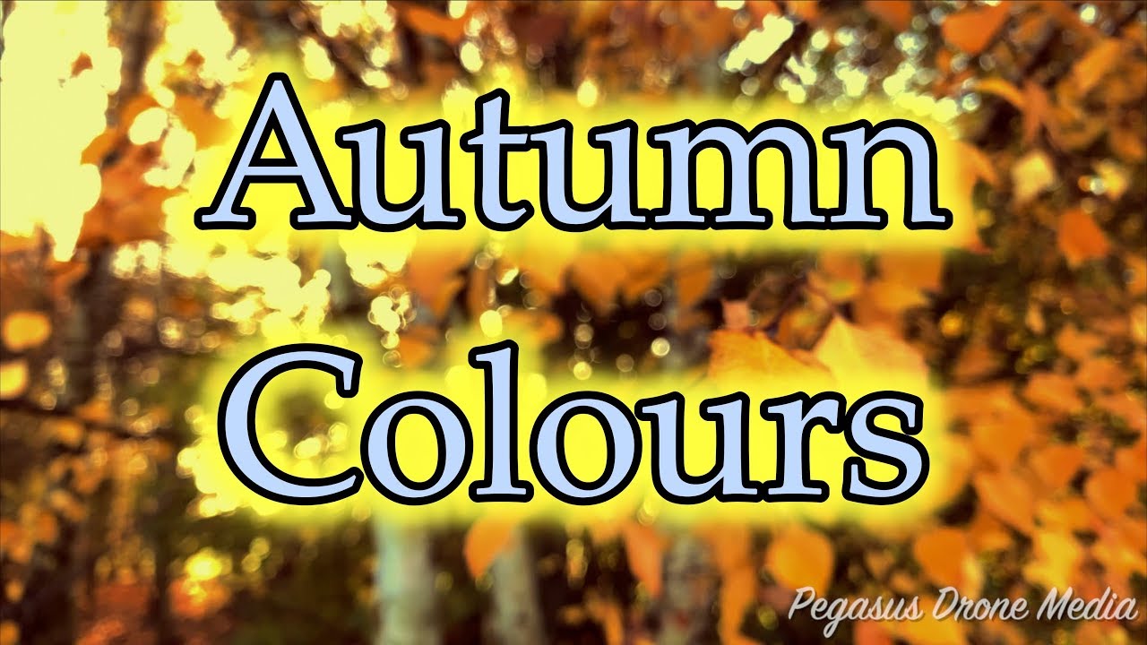 aerial photography rc drone Autumn Colours
