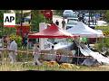 Skydiving plane crashes in France, killing all 11 people on board