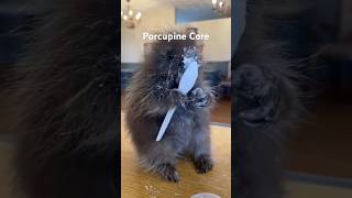 Porcupine Core
