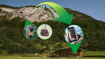 What is the long range wireless bird box camera