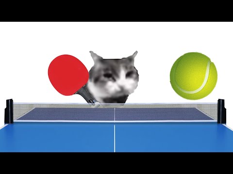 tennis cat [meme]