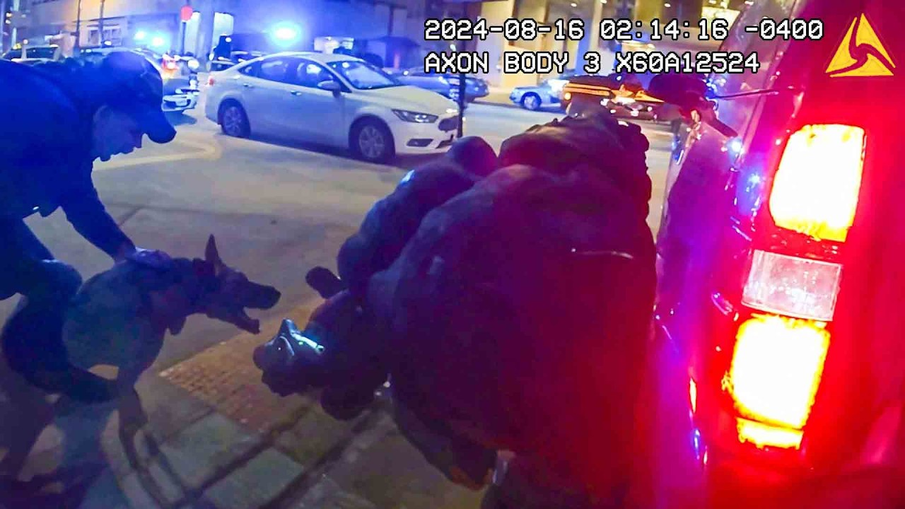 Here's Why You Shouldn't Run From The Police