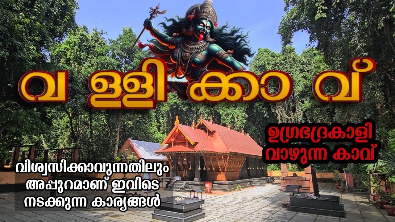 ഇലഞ്ഞിമേൽ വള്ളിക്കാവ് ചെങ്ങന്നൂർ | ഉഗ്രഭദ്രകാളി വാഴുന്ന കാവ് | VALLIKKAV CHENGANNOOR