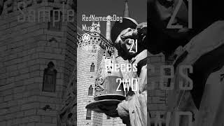 21 Pieces 2WO #rednemesisdog #rndoriginal #polyend #soundcloud #deezer #applemusic #spotify