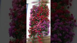 Beautiful Vertical Flower Garden Ideasfor Inspiration Garden Decor