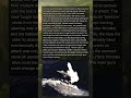 Yamato did not die in a duel. It was pinned, broken, and finished by the sky