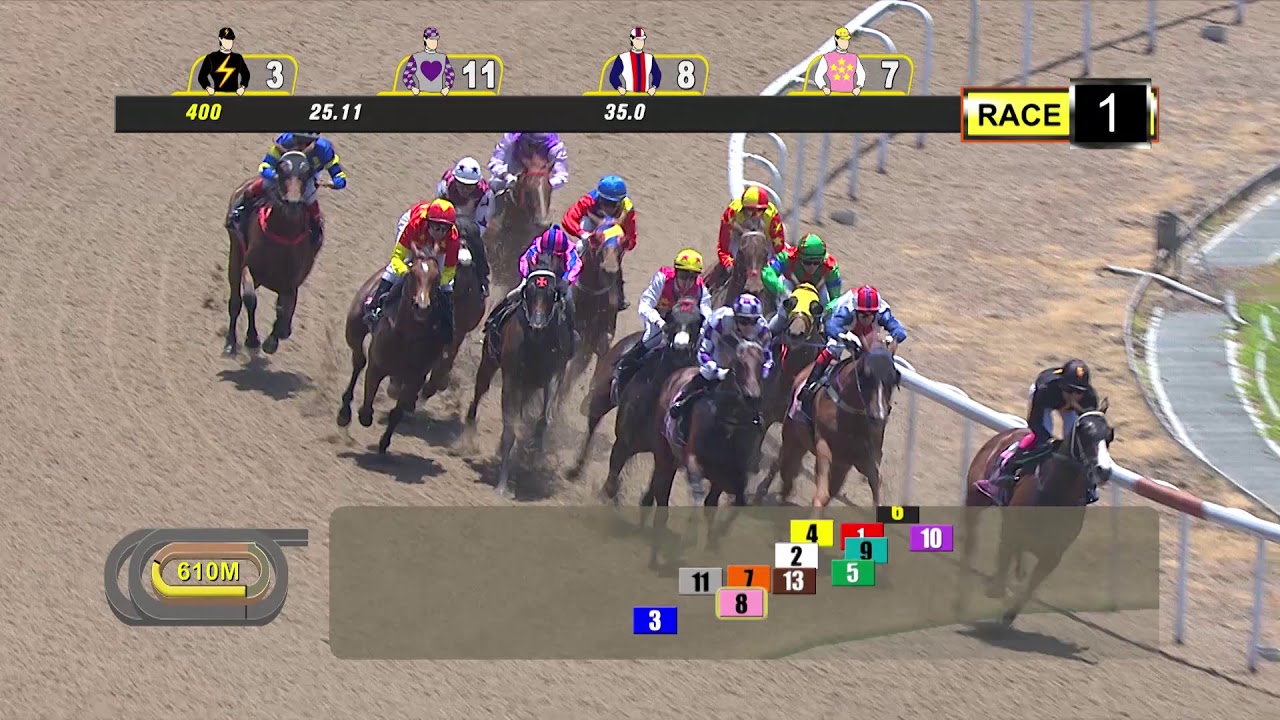 Race Results Singapore Turf Club Racing Portal
