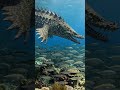 Ancient fish? # Nature # Fishes # Aquarium # The ocean
