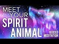 Meet Your SPIRIT ANIMAL Guided Meditation. Communicate With Your Animal Spirit Guide.
