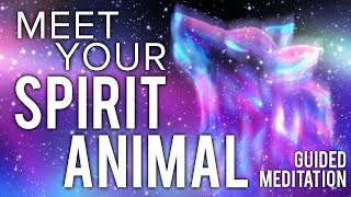 Meet Your SPIRIT ANIMAL Guided Meditation. Communicate With Your Animal Spirit Guide. screenshot 1