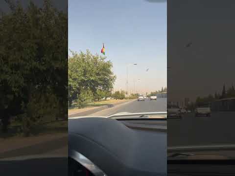 دمنة انت يمشي بالوريد خضر عباس