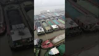 Traffic Jam In The River.