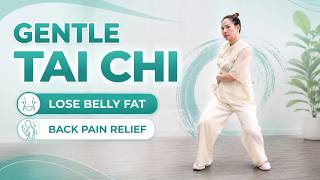 20 Min Gentle Tai Chi for Belly Fat & Back Pain Relief - BEGINNER FRIENDLY | No Jump