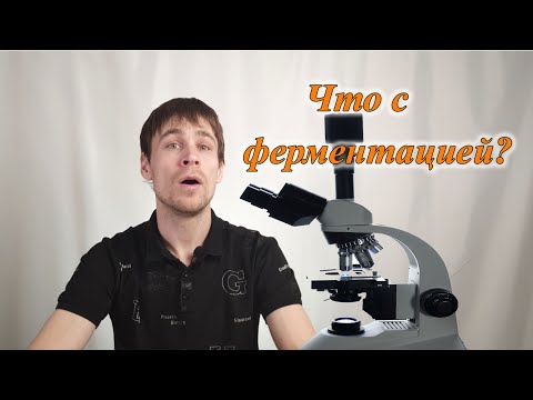 Что происходит с ферментацией?