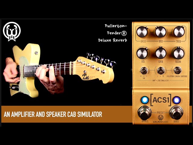 Walrus MAKO Series: ACS1 Amp + Cab Simulator - YouTube