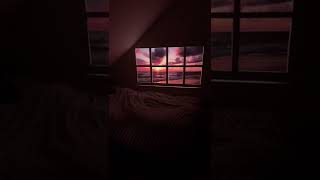 Turning A Projector Into A Window, It Looks Unreal