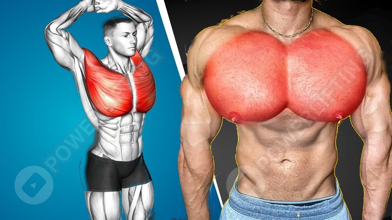 Chest Target Men 6 Best Exercises to Target Your Chest - Chest Workout at Gym ...