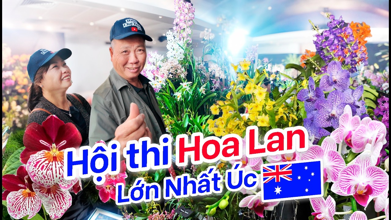 Hội Thi HOA LAN Lớn Nhất Úc 🇦🇺 | Triển Lãm Hoa Lan Orchid Show Australia