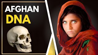 Why Afghan DNA is The Strangest In The World
Afghanistan sits at the crossroads of ancient civilizations and empires, from Persia and India to Greece, China, and the Silk Road. This unique geographic position has shaped not only its culture and history but also the DNA of its people, which is among the most diverse and intriguing in the world. In this video, we explore why Afghani DNA stands out as one of the strangest genetic profiles ever studied. By tracing ancient Indo-Iranian migrations, Greek and Mongol conquests, and centuries of trade and isolation, we uncover how these forces have left lasting imprints on the Afghan gene pool. Modern genetic studies reveal surprising connections to Central Asia, South Asia, and the Middle East, while Afghanistan’s mountainous terrain helped preserve rare ancestral lineages. Through examining the genetic makeup of Pashtuns, Tajiks, Hazaras, Uzbeks, and other ethnic groups, we’ll see how history, geography, and migration combined to create a population unlike any other. This deep dive into Afghani DNA offers a fascinating window into human evolution, ancient migrations, and the story of a region that has long stood at the heart of the Old World. Why Afghan DNA is The Strangest In The World