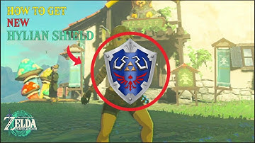 How to get a NEW Hylian Shield if You Broke One - TOTK