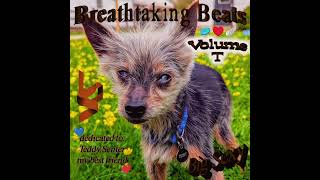Foxtrot - Breathtaking Beats Vol. T - Track 12