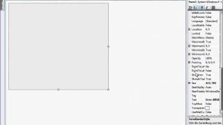 Mit Visual Basic einen Bluescreen erstellen (Deutsch)