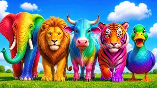 Long Slide Game With Cow Elephant Gorilla Hippopotamus Tiger 3d Animal Game Funny 3d Animals screenshot 2