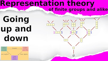 What is...the Young lattice?