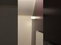 ピストルズとお風呂【ジョジョ】