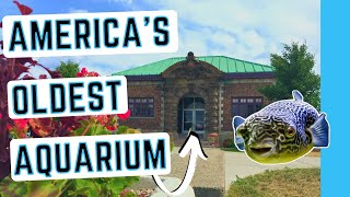 Most UNDERRATED U.S. Aquarium | The Belle Isle Aquarium