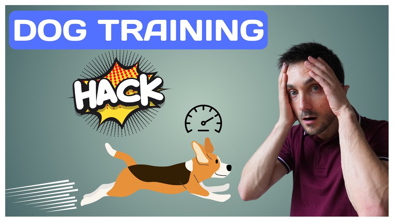 Dog Training HACK Deprivation Level! YouTube