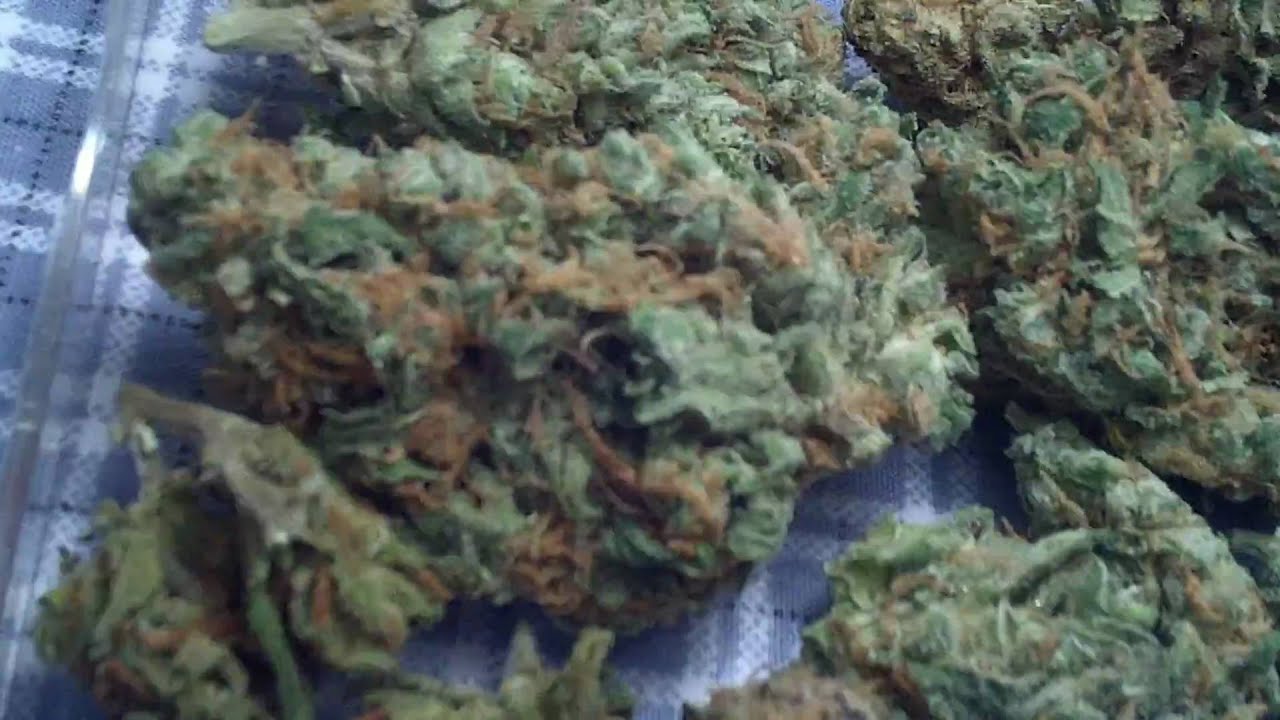 DANK KILLA CaLi KuSh NUGS HD ((MIDWEST KILLA CITY SMOKE))