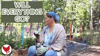 Will Everything Go???