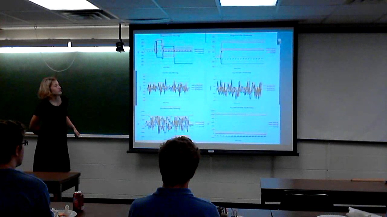 2015 KU QuarkNet -- LSM9DS0 Chip Calibration Project