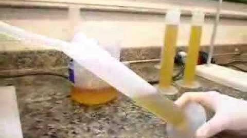 Biodiesel - Transesterification - Rotating Packed Bed Reactor (RPB)