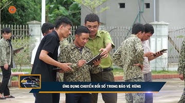 ỨNG DỤNG CHUYỂN ĐỔI SỐ TRONG BẢO VỆ RỪNG | VTV5