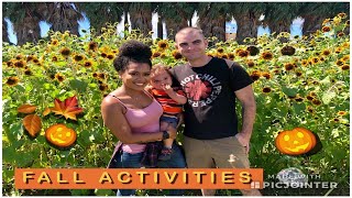 Pumpkin Patch & Carving pumpkins 2018