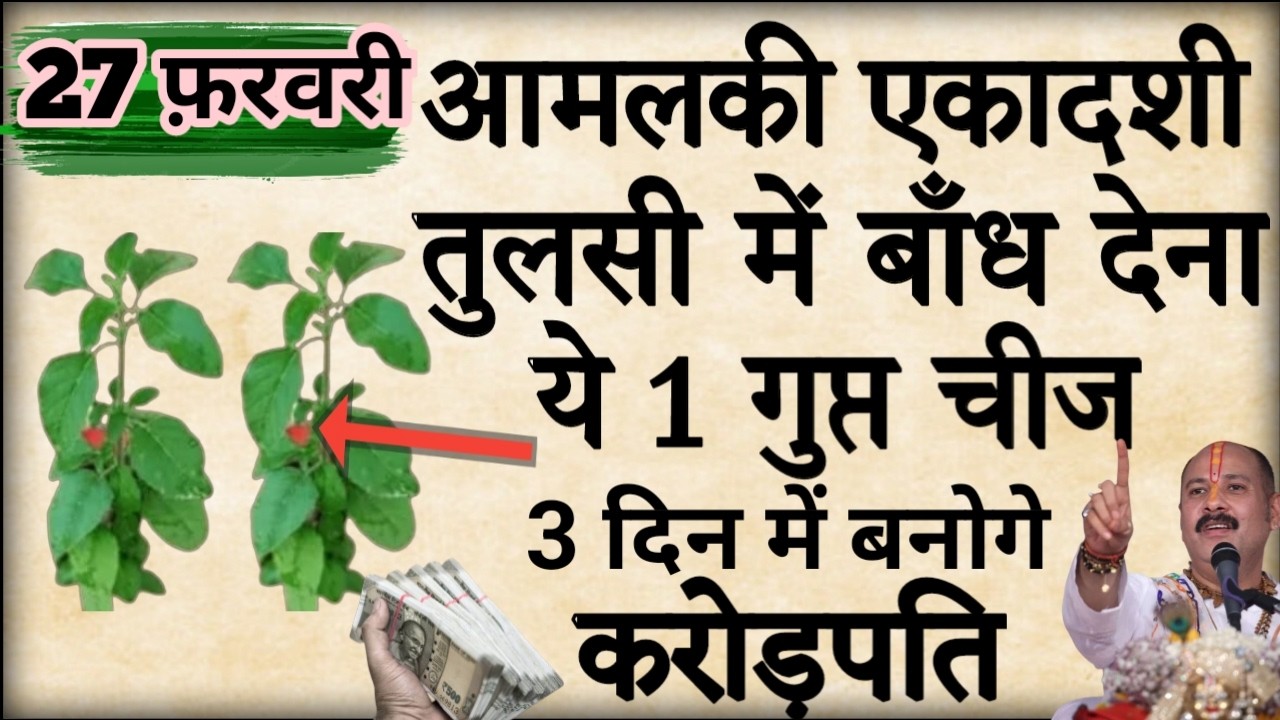 27 फरवरी आमलकी एकादशी की रात तुलसी में बांध देना ये 1 चीज बनोगे करोड़पति #pradeepmishra