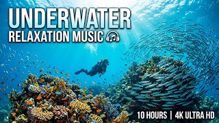 Tranquil Ocean Night 🌊 • Peaceful Relaxation Music for Sleep 😌 • Soft Underwater Serenity 🌙