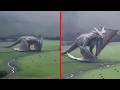 Real Encounters With Creatures That Shocked Witnesses