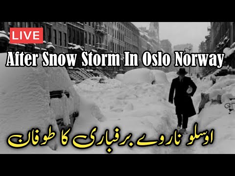 #snowstorm in #oslo |  | Oslo Norway live snowfall 18 Jan 2024