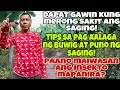 GUIDE SA TAMANG PARAAN NG PAG ALALAGA NG SAGING | DAPAT GAWIN KUNG MERON ITONG SAKIT | TRES PLANTERS